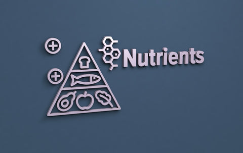 Nutrients in a Pyramid
