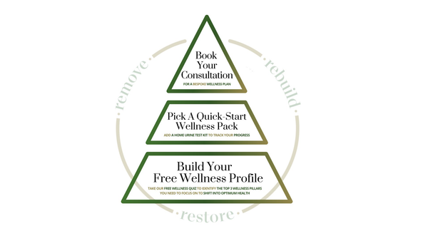 The Rejuv Health & Wellness Pyramid