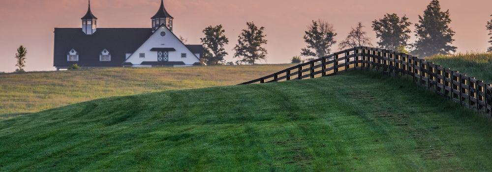 Kentucky Bluegrass Country Horse Farm