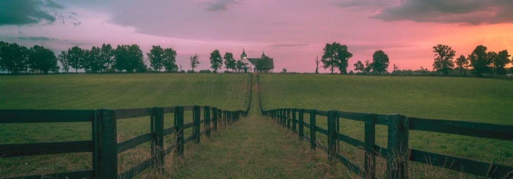 Horse farm in Kentucky bluegrass country