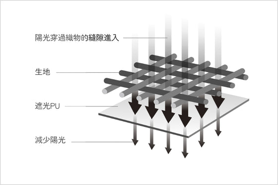 特殊遮光處理