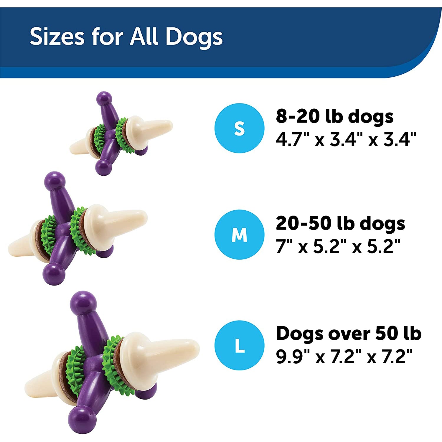 Busy Buddy Bouncy Bone, Purple, Medium/Large