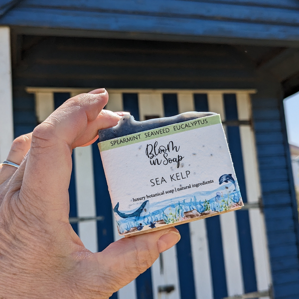 Sea Kelp natural soap outside a blue and white striped beach hut