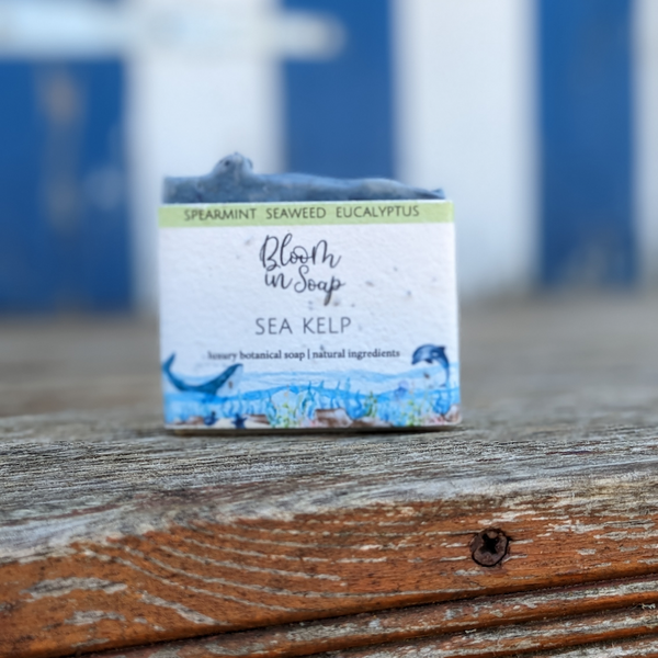 Sea Kelp soap on a blue and white beach hut