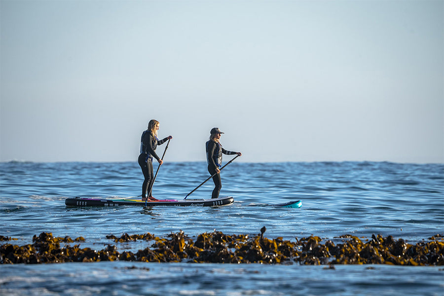 Two people paddle boarding
