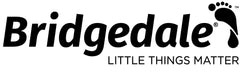 Bridgedale-Logo