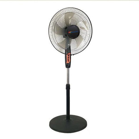 fan