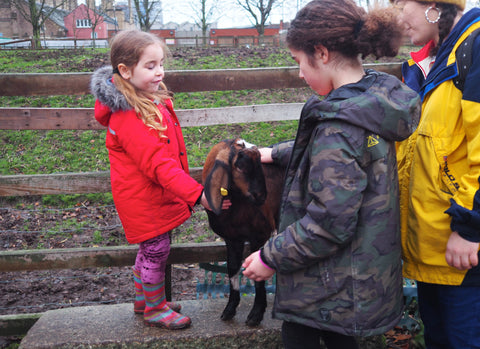 wild walk hackney city farm