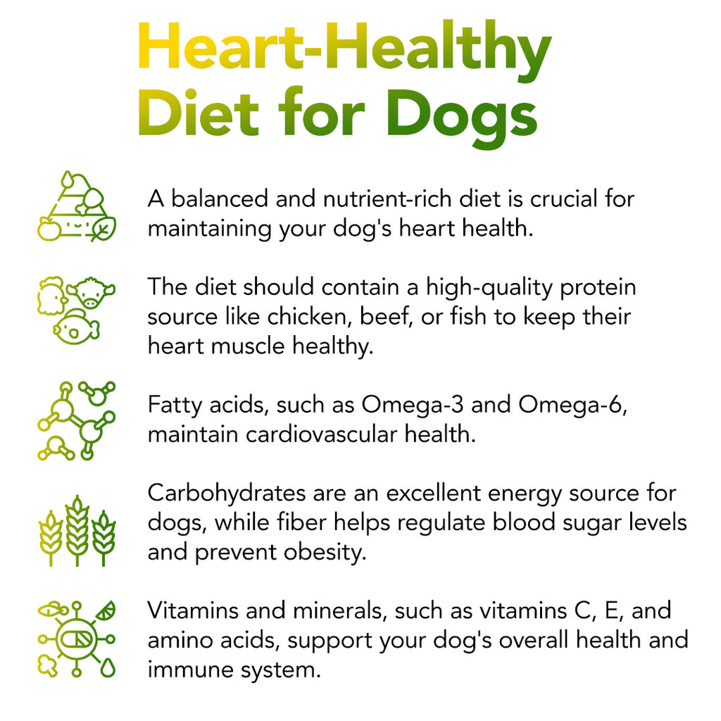 Heart-Healthy Diet for Dogs - Liquid Health Pets