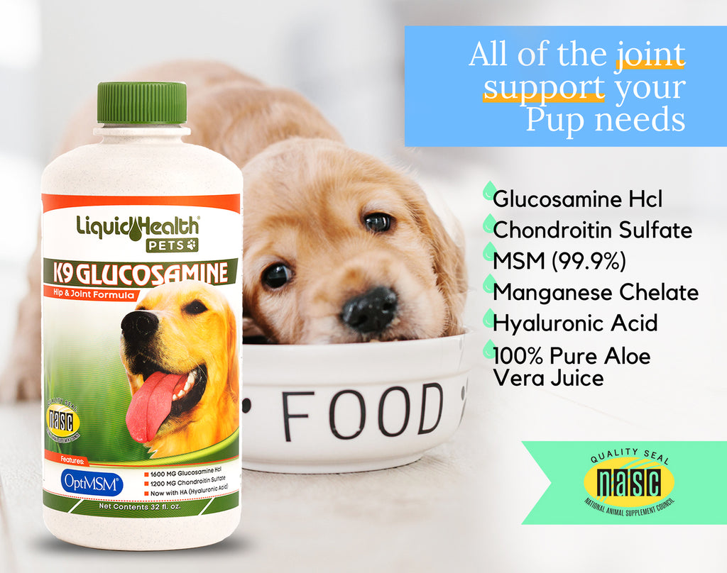 Liquid Health K9 Glucosamine for Dogs Joint Supplement