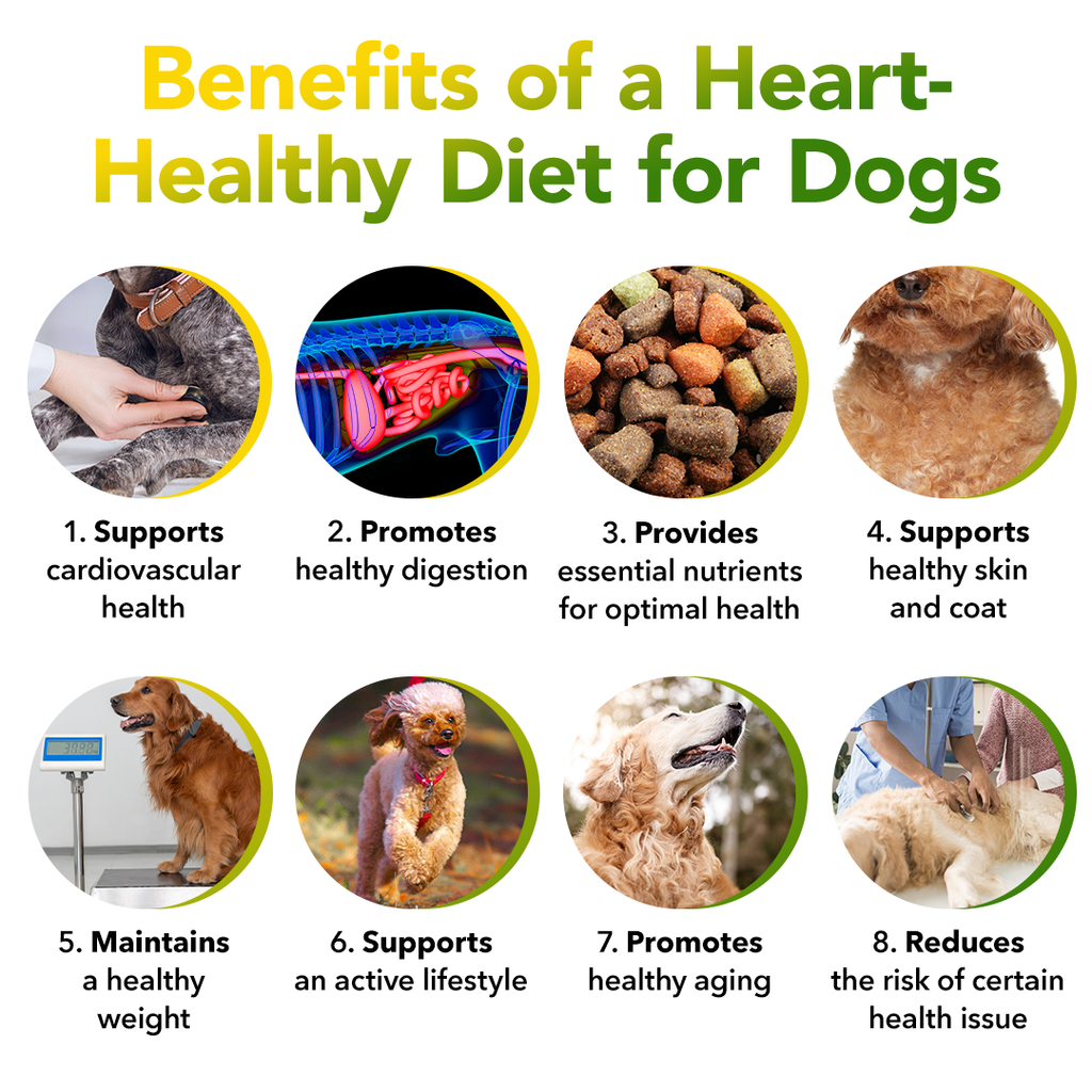 Benefits of a Heart-Healthy Diet for Dogs - Liquid Health Pets