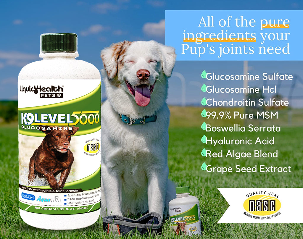 Liquid Health's K9 Level 5000 Concentrated Glucosamine