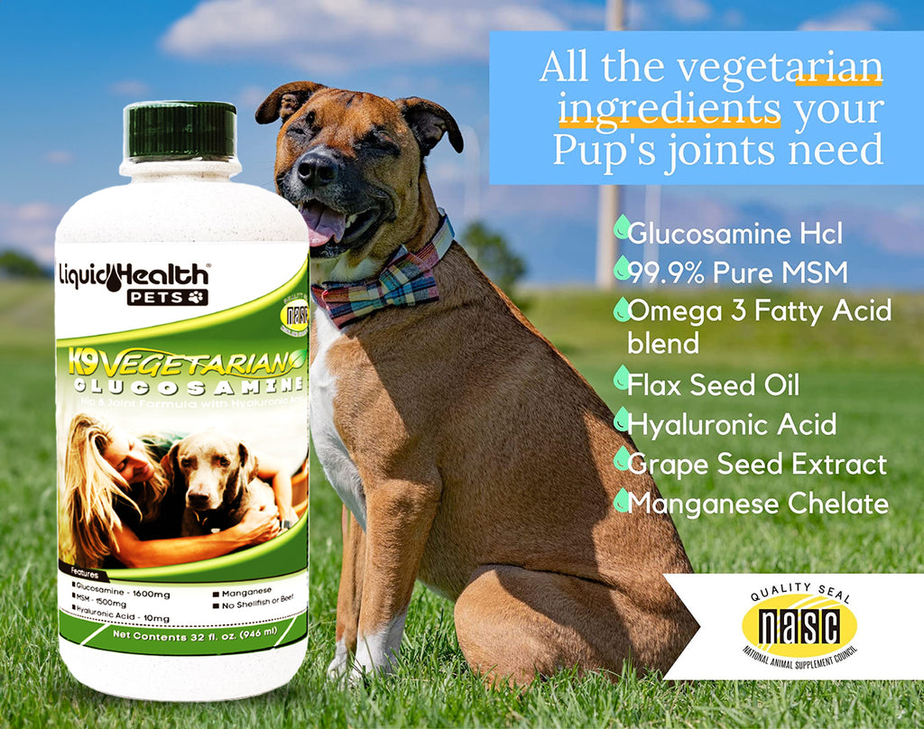 Liquid Health's K9 Level 5000 Concentrated Glucosamine