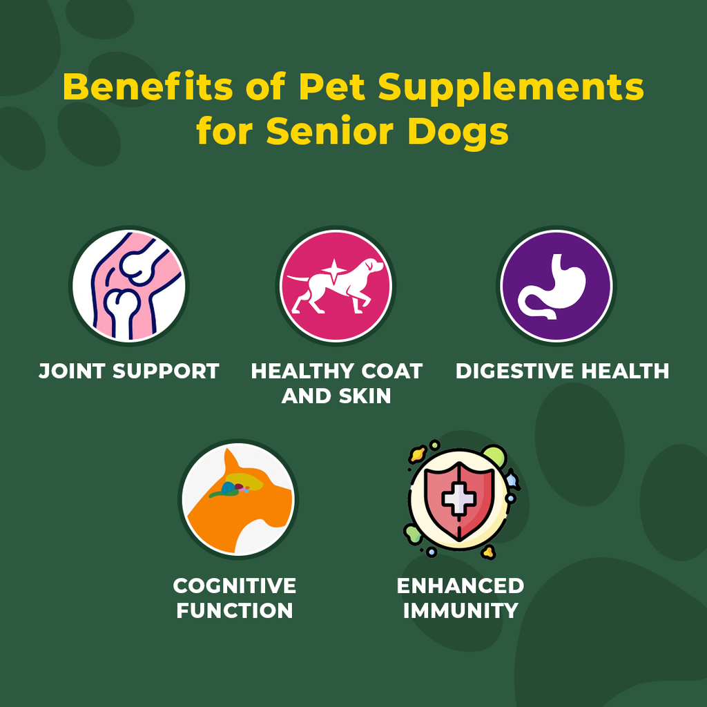 Pet Supplements - Benefits of supplements for senior dogs