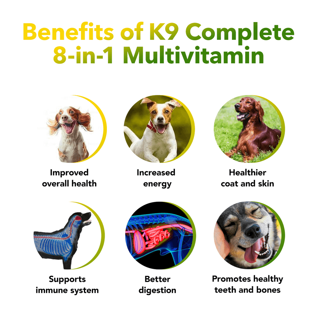 Vitamin E Deficiencies in Dogs