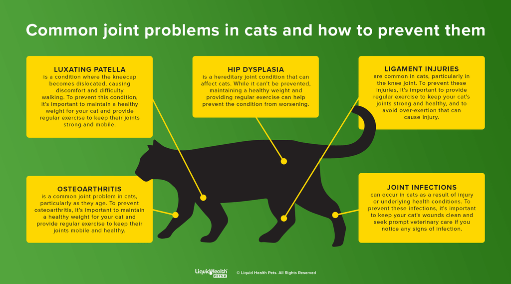 joint supplement for cats