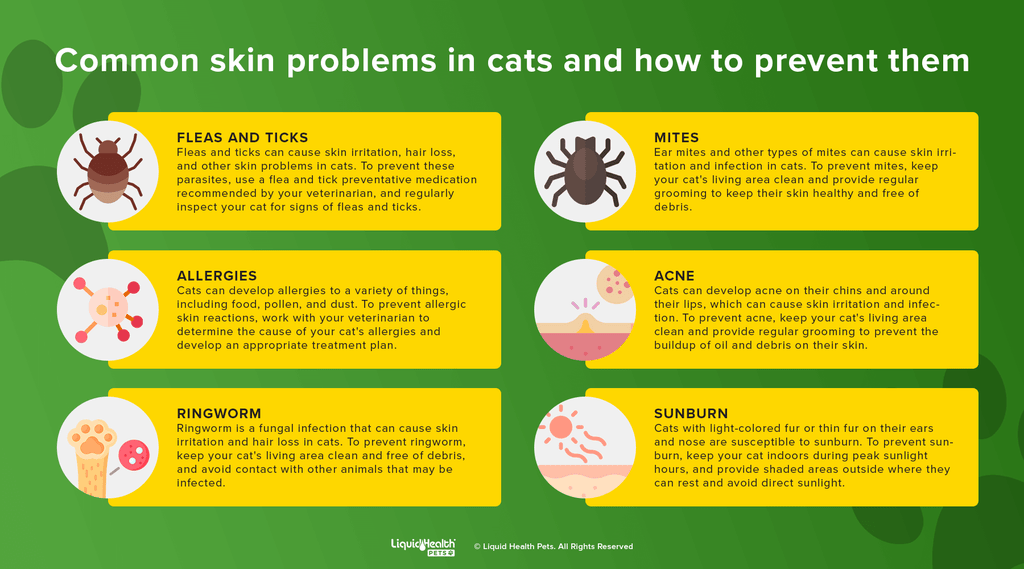 skin and coat supplements for cats