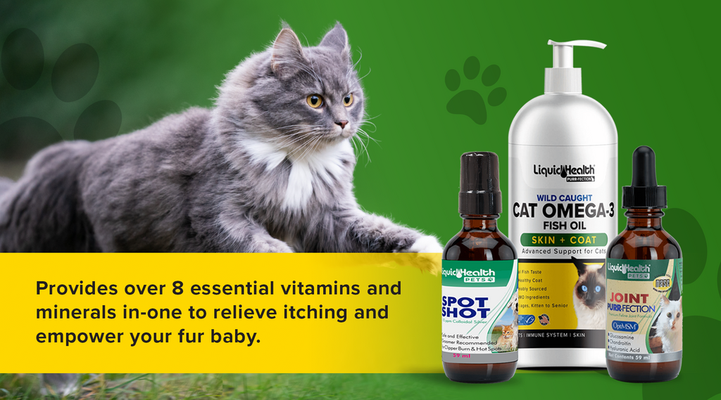 skin and coat supplements for cats