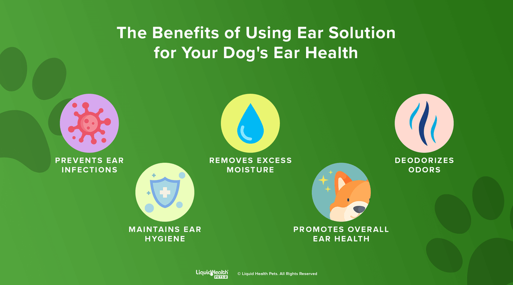 ear solution