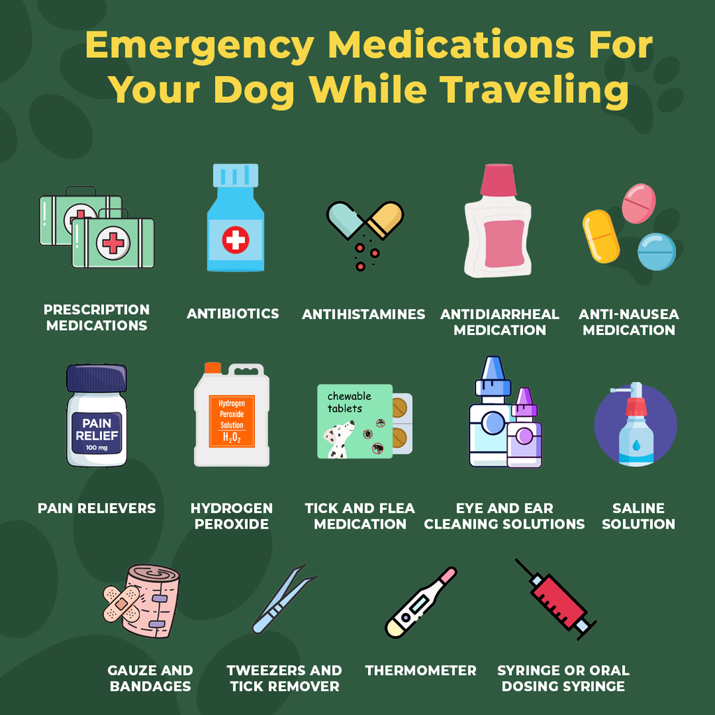 Emergency Medications For Your Dog