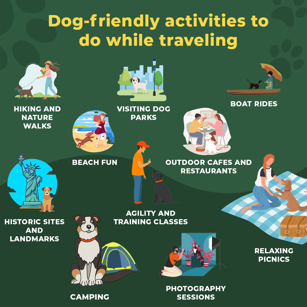 Traveling with your Dog - Activities