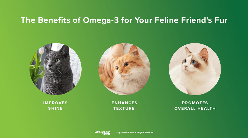 benefits of omega-3 for your pets fur