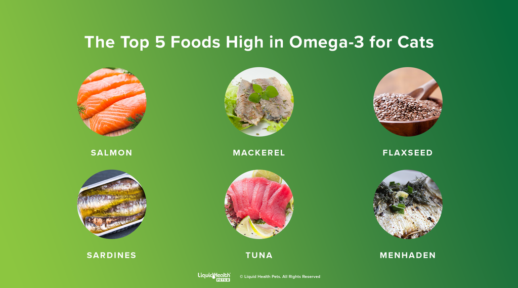 top 5 omega-3 foods for cats
