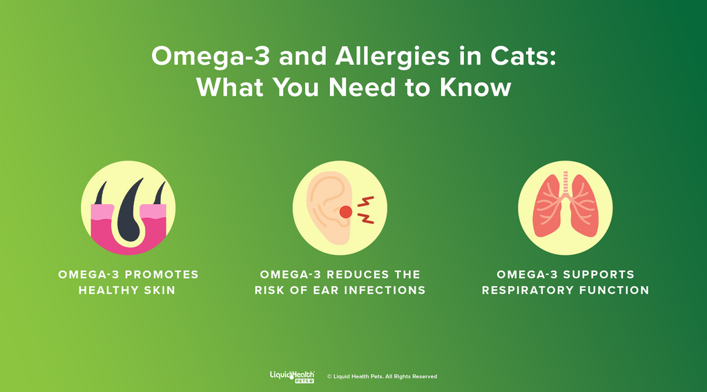 omega-3 and allergies in cats