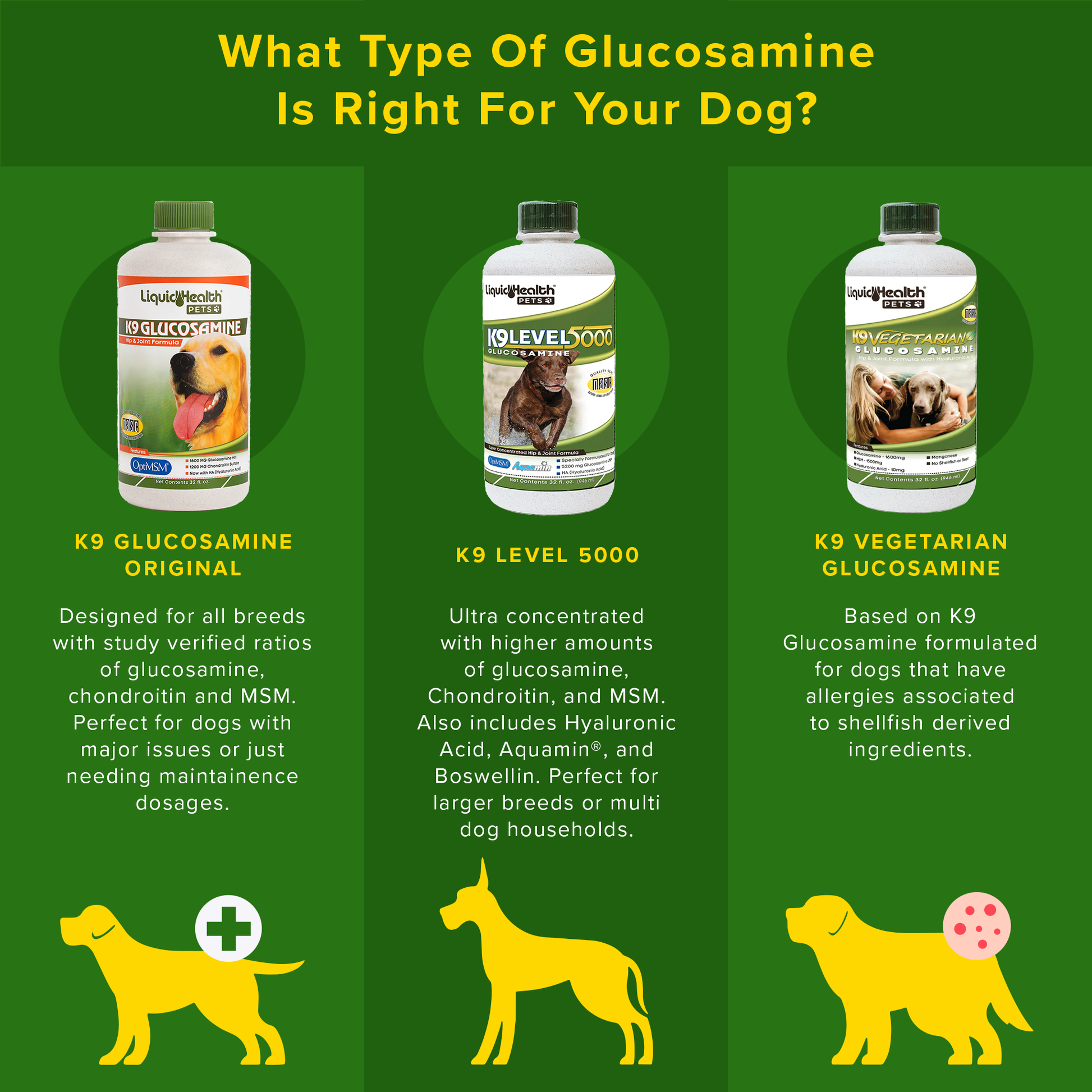 what is a good joint supplement for dogs