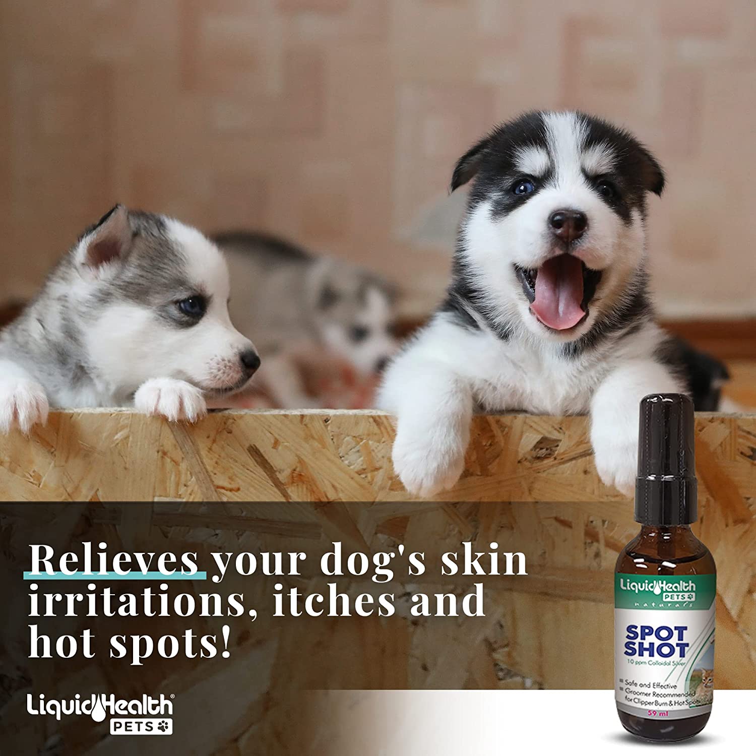 can you use colloidal silver on dogs ears