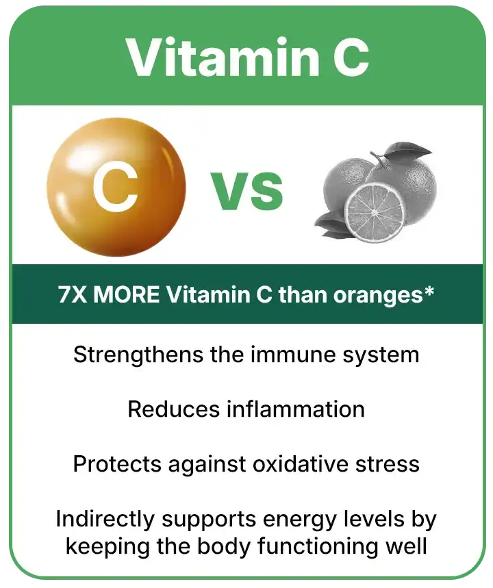 1730119815-vitamin20c__PID:39d07da5-75da-427e-b6bf-fe8789bf83db