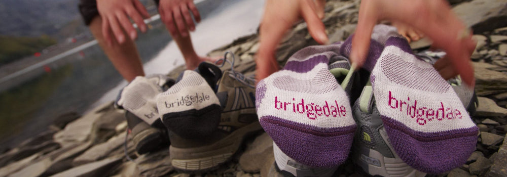 bridgedale socks