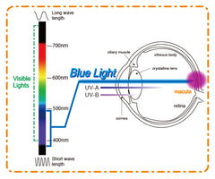Eye Graphic of Blue Light Hazard