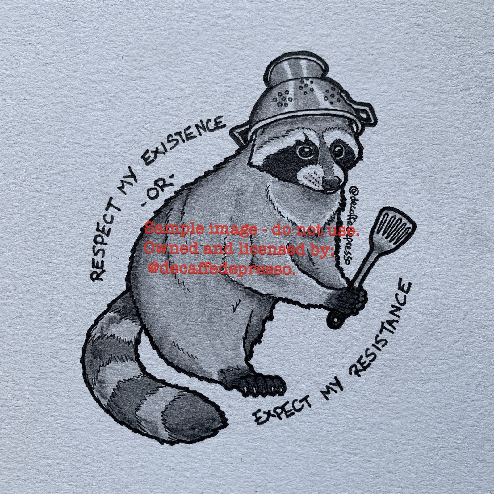 210 Cartoon Of Raccoon Tattoo Designs Illustrations RoyaltyFree Vector  Graphics  Clip Art  iStock