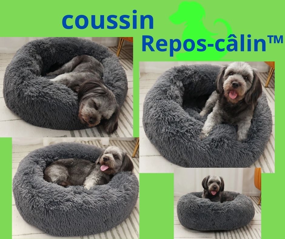 Coussin pour chien