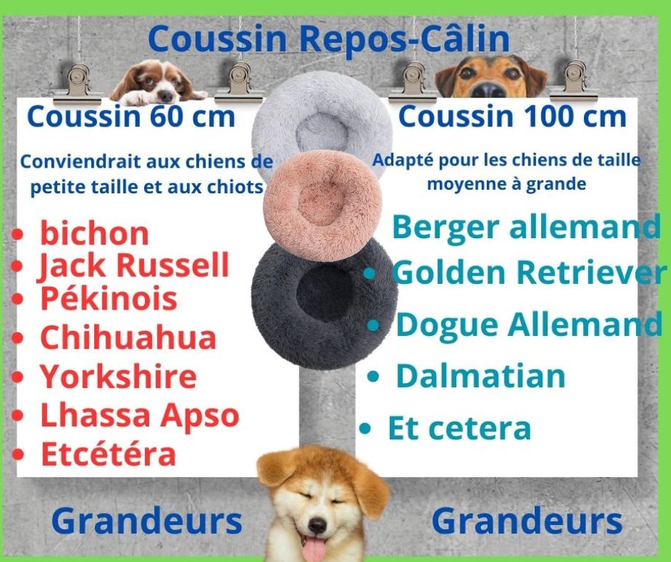 cousins ​​pour chiens