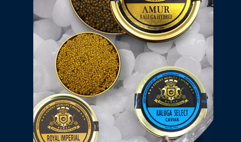 3 tins of caviar on ice