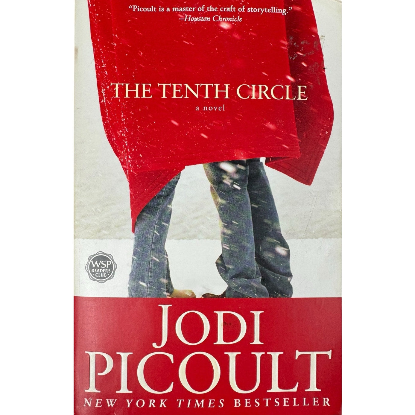 The Tenth Circle by Jodi Picoult (Paperback)