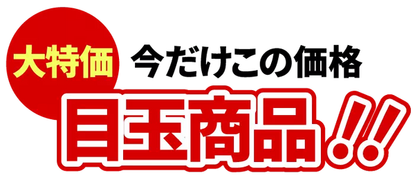 今だけこの価格・大特価目玉商品