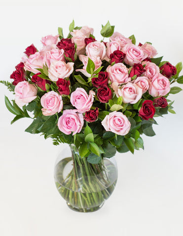 Red and Pink luxury roses