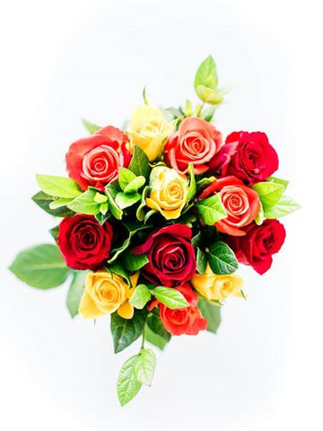 Red and Yellow Bold Valentines Roses