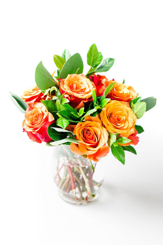 Two toned orange roses