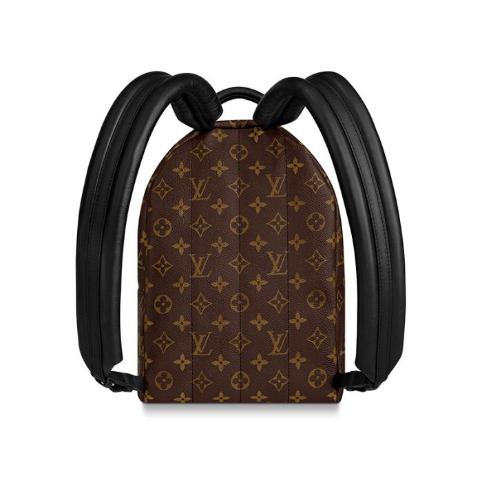 Louis Vuitton Monogram Palm Spring PM BackPack Bag  The Closet