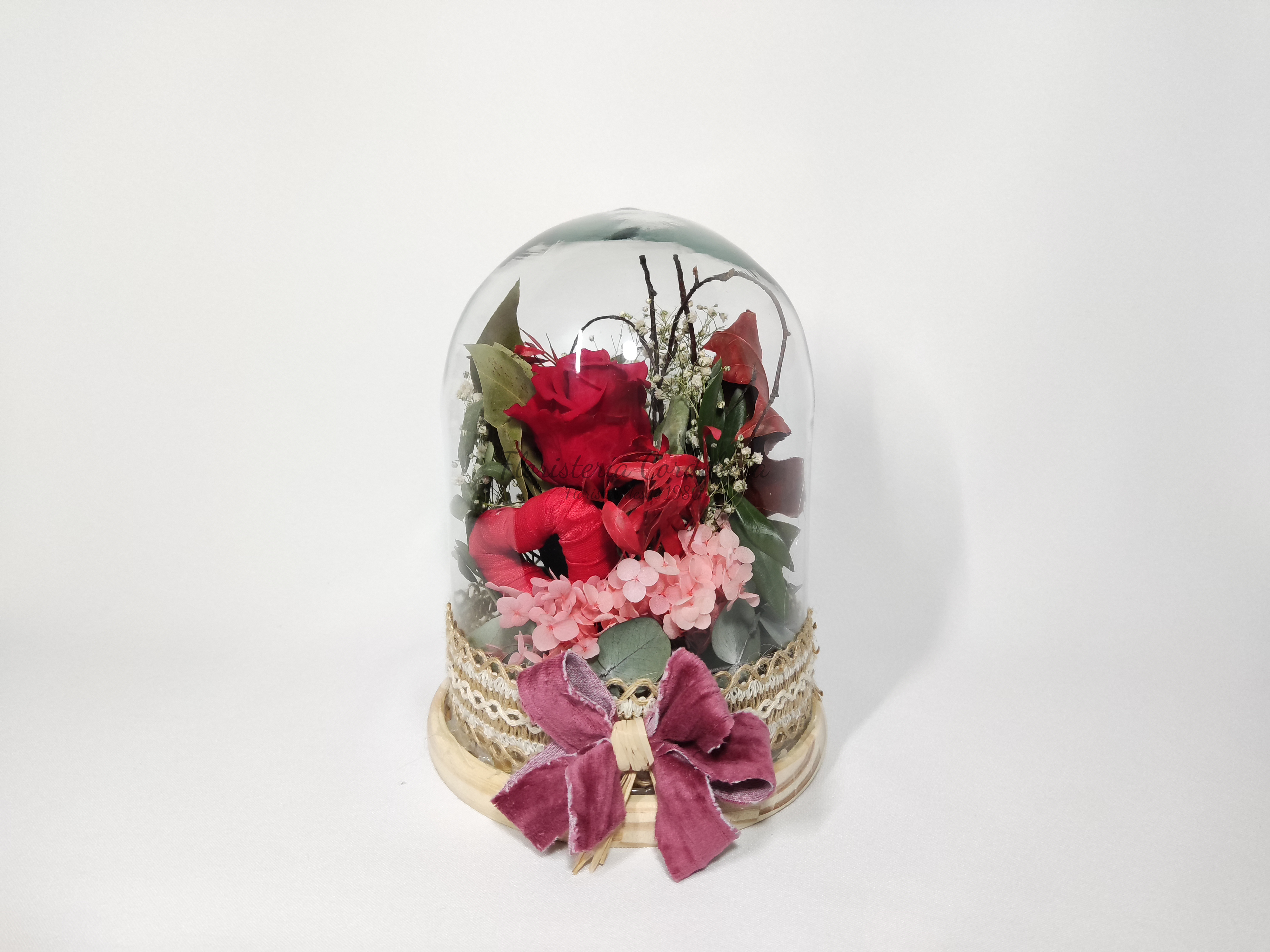 Cúpula de rosas preservadas – Floristeriacordobesa