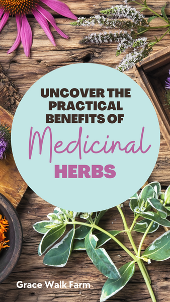 practical benefits of medicinal herbs
