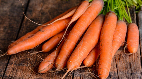 carrot growing tips