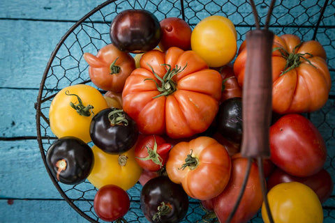 tomato harvest basket