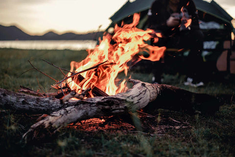 Fire In The Wild Survival Tips and Techniques To Start A Fire
