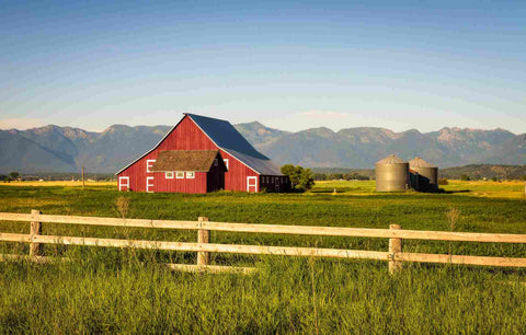 Homesteading Can you Still get Free Land from the Government