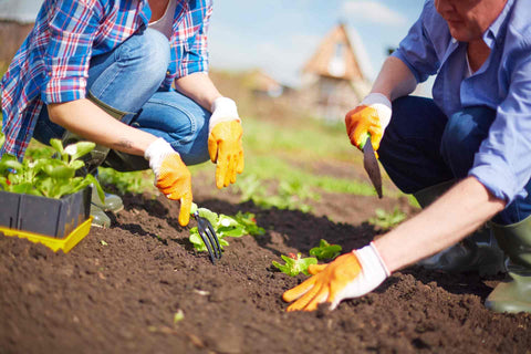 Homesteading Can you Still get Free Land from the Government